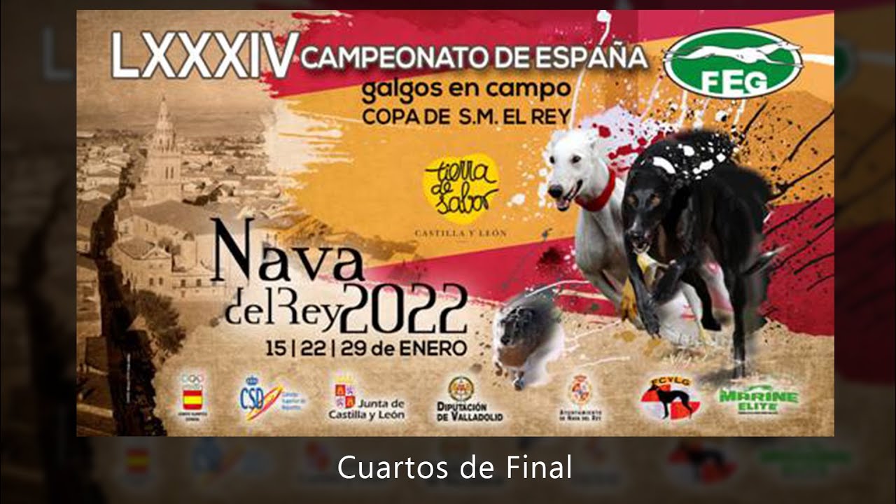 Los mejores momentos de los Cuartos de Final 