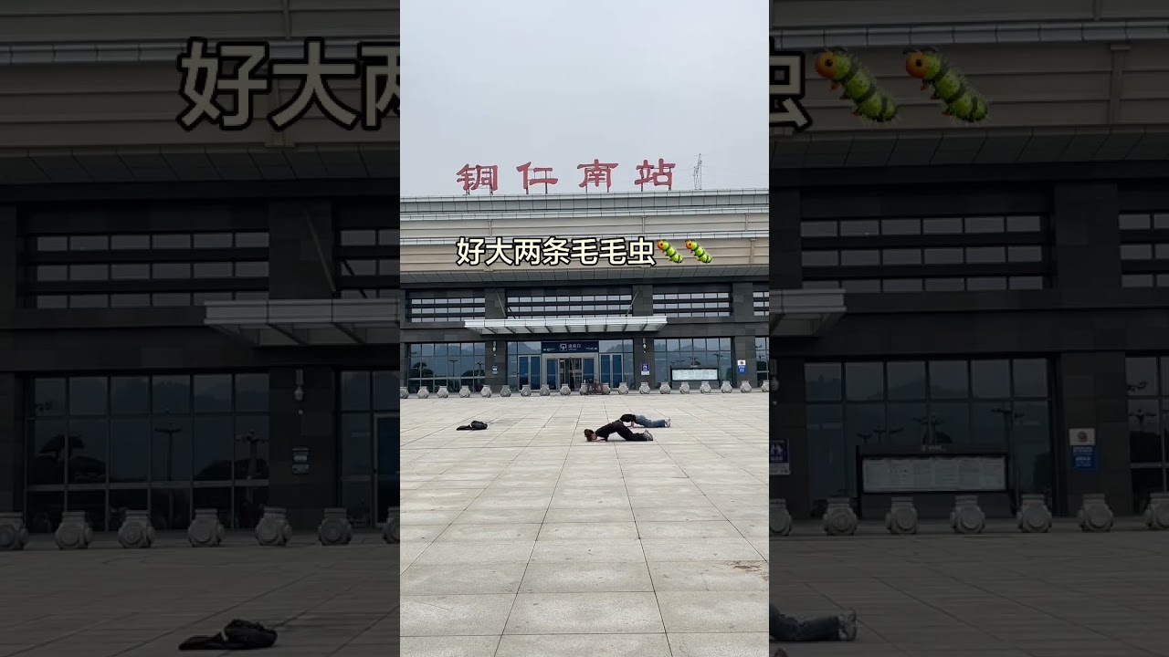 Chinese Caterpillar's Douyin Fan Creation Surprise