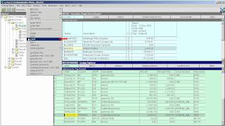 NewViews Demo Part 7 - Customized Views of Account Ledgers