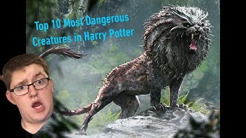 Top 10 Most Dangerous Creatures in the Harry Potter Universe