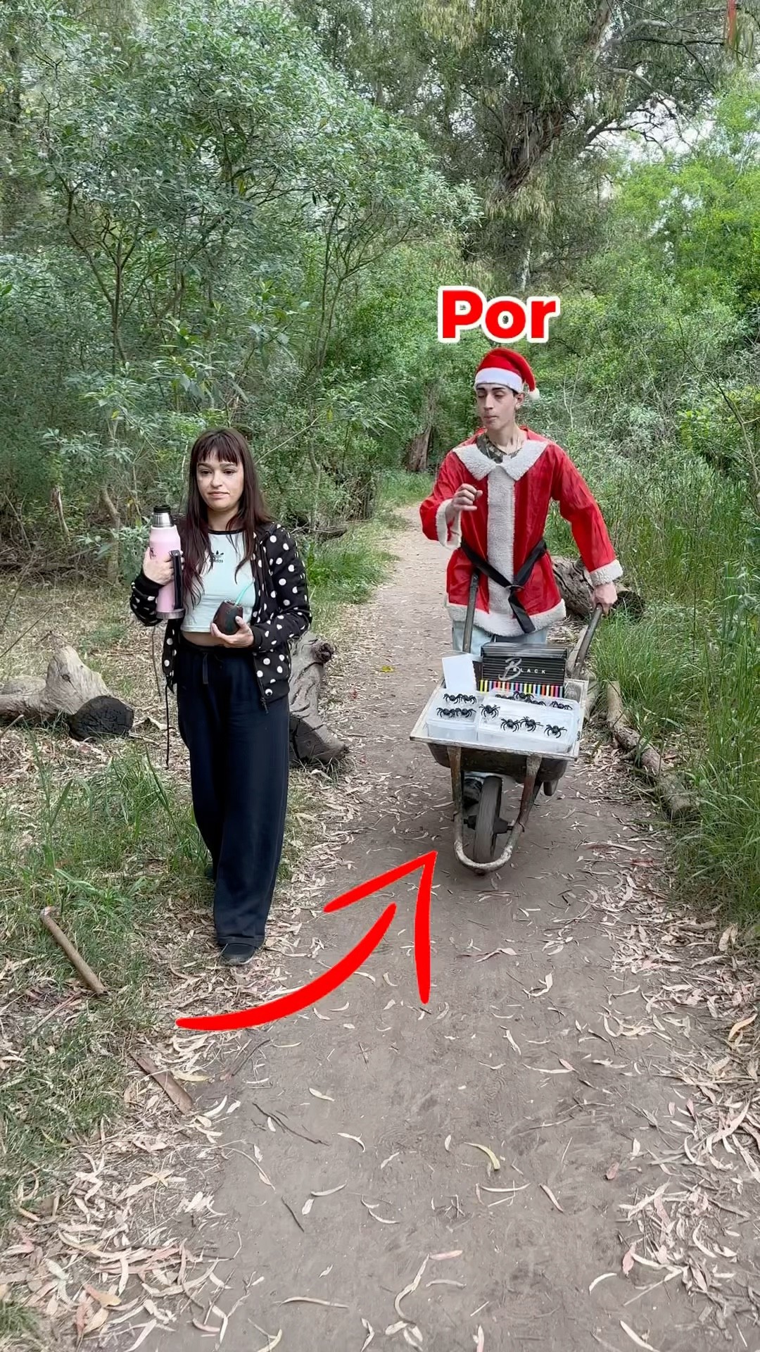 Cada tarantula que te comas en menos de 3 segundos es una caja sorpresa! ?