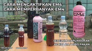 Download lagu How to activate EM4 fisheries with molasses
