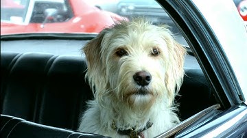 LinuxFest Northwest 2016: Handle Conflict, Like a Boss!