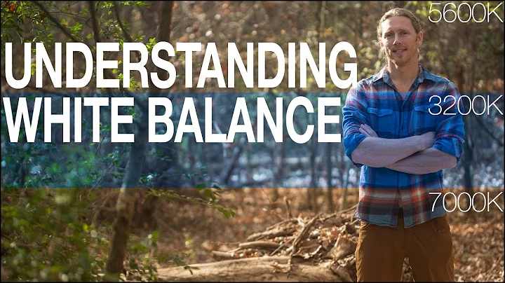 White Balance Basics: What is color temperature and why do we need to know?