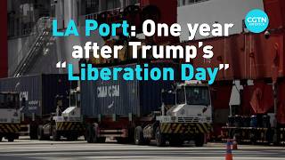 LA Port: One year after Trumps Liberation Day