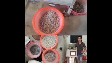 rough agate color sorting in processing machine