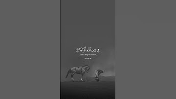 (إذا جاء نصر الله والفتح)القارئ: سعد الغامدي