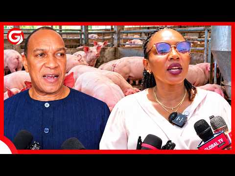 GOVERNMENT ISSUES WARNING TO LIVESTOCK FARMERS - AKILI UNDE COMES UP WITH SOLUTIONS