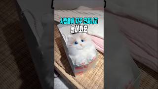 집사들이 무조건 갖고싶어한다는 선물