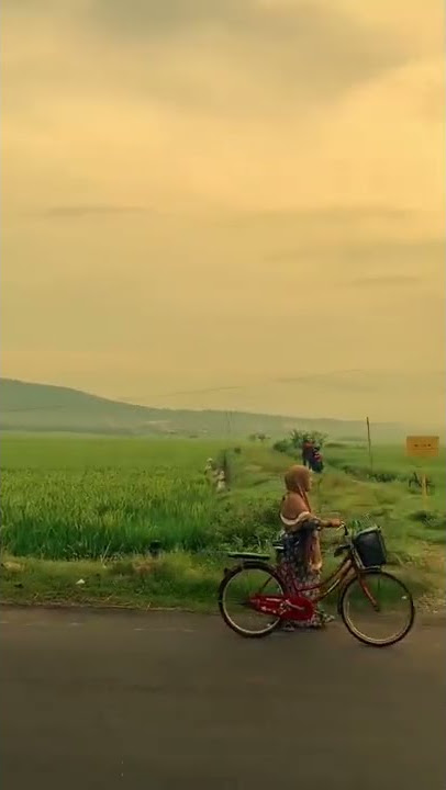 snap WA #storywhatsapp #pagihari #langitpagi #videoviral #videopagihari #fyp #sejukpagi