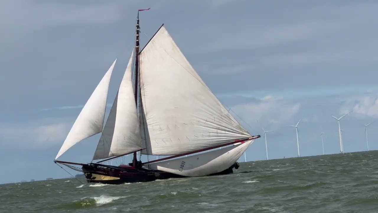 sailing Coise zomer 2025 skutsjesilen