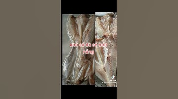 khô cá đù sẻ một nắng