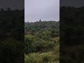 #tamil #nature #travel