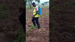Agriculture isn’t just farming,it’s wealth creation.Secure your share in tomorrow’s harvest today.🌱