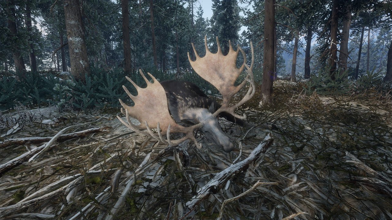 10 Fabled Great One Moose Askiy Ridge