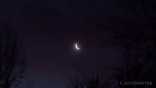 Crescent Moon Disappears Behind Plum Purple Clouds During Sunrise 01.26.2025