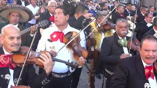 Los Mariachis de Los Angeles Deslumbran con una Emotiva Interpretación de Las Perlitas