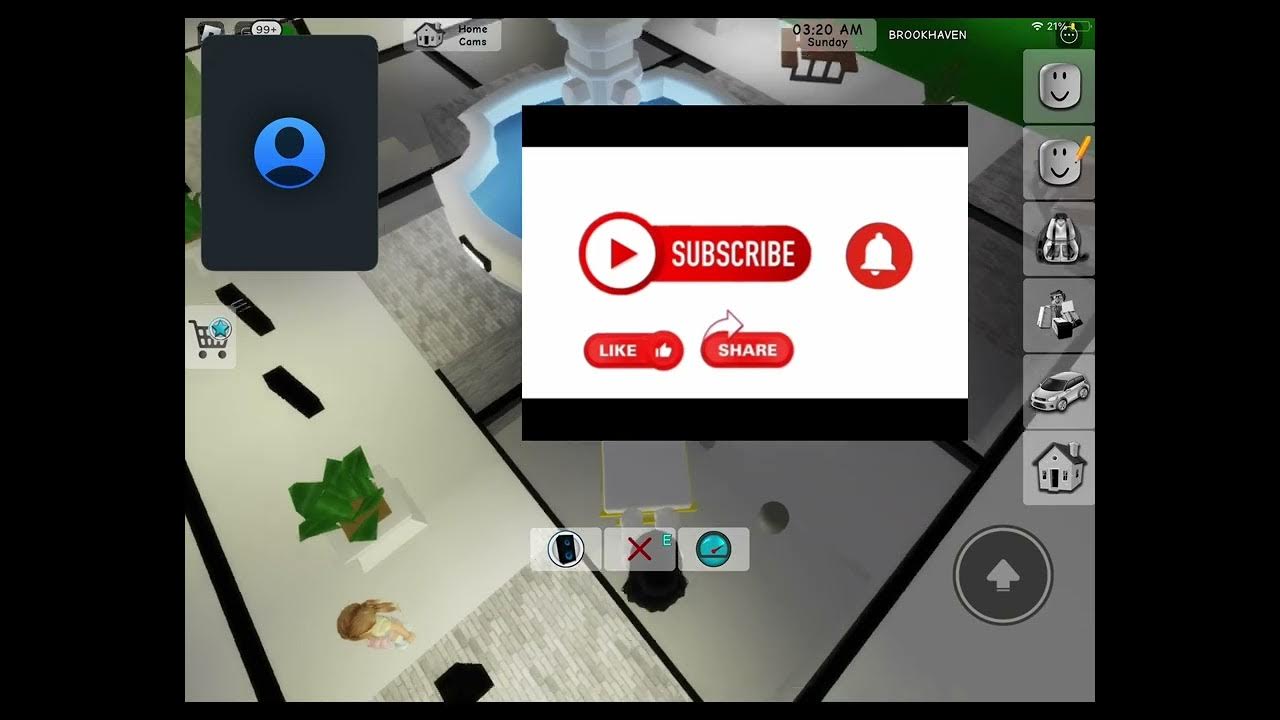 Playing Roblox Brookhaven hide and seek with my friend YouTube