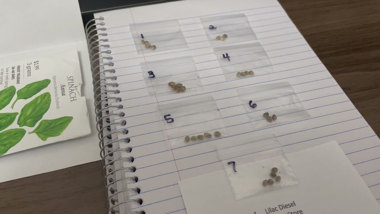 Received my prize from SKEastCoast. Thank you very much!