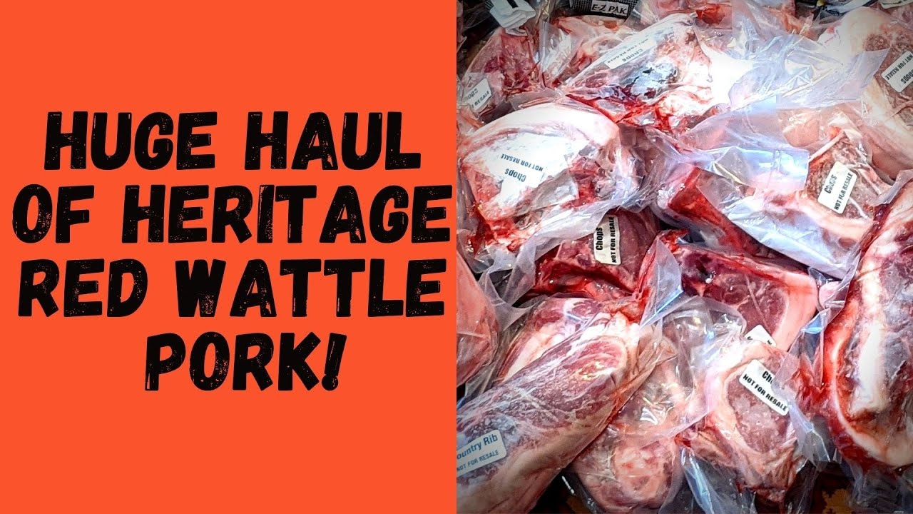 Butcher Shop Pig Pick Up! Flow Hive, Dairy and Fence Work!