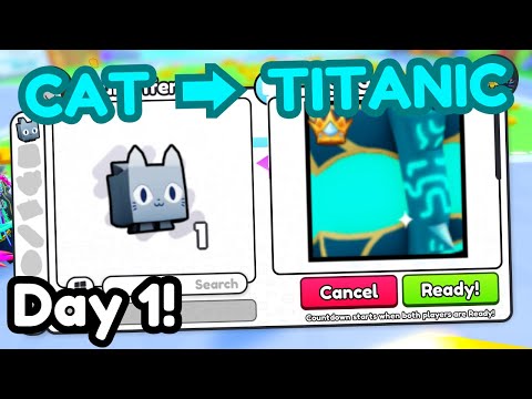 Cat to Titanic