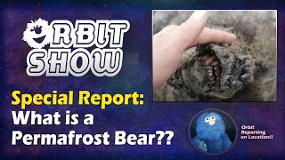 Science For Kids Science Report What Is A Permafrost Bear?