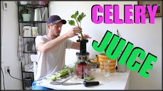 How To Make Celery Juice With A Juicer 2017 - Omega Slow Juicer