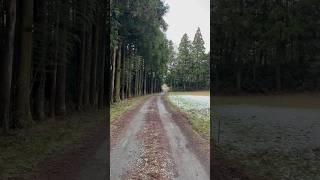 One Friend - Dan Seals