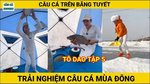 Trải Nghiệm Câu Cá Mùa Đông | T05 | Tô Dao | Câu Cá Trên Băng | CÂU CÁ REVIEW #câucá #câucátrênbăng