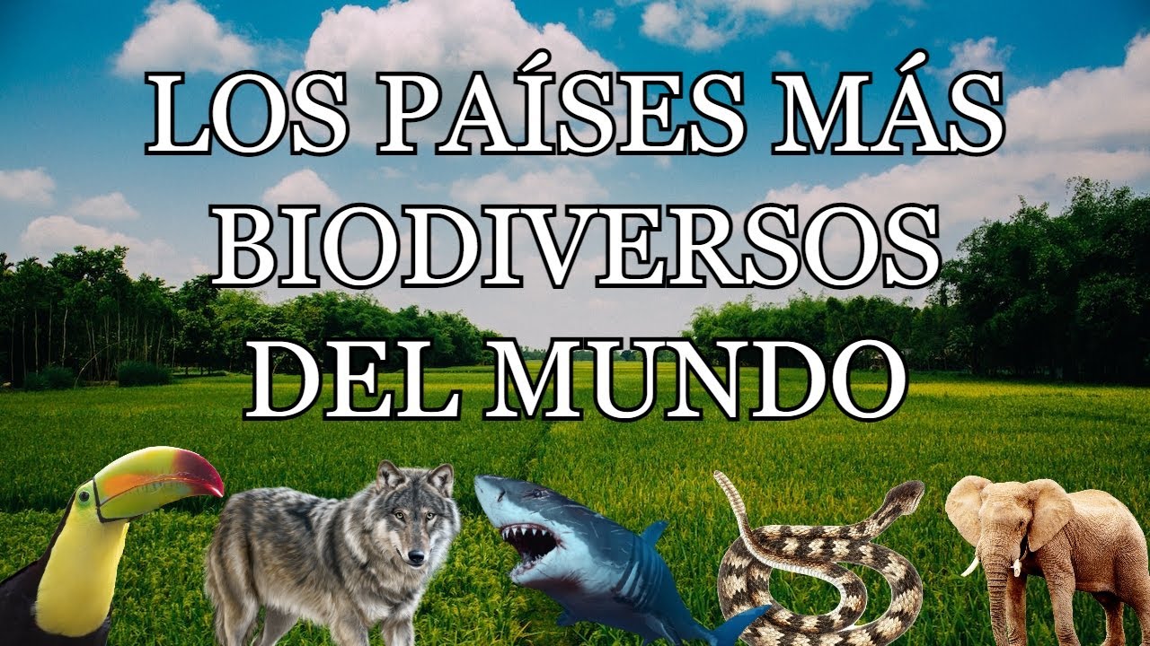10 PAÍSES con MAYOR BIODIVERSIDAD del MUNDO 🌻🐯🌎
