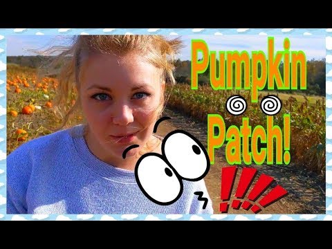 Pumpkin Patch is BACK!