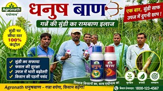 Agronath धनुष बाण सुंडी का रामबाण इलाज। #manojrajput 