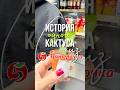 Принесла говорящий кактус из Пятерочки кактус комнатныерастения Принесла говорящий кактус из Пятерочки кактус комнатныерастения