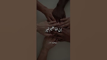 #سورة_الحجرات #القرآن_الكريم #اكسبلور #ذكر_الله #لايك #القرآن #حالات_واتس #تلاوة_خاشعة #راحة_نفسية