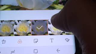 Samsung Galaxy S9: How to Add Picture Effects in Gallery screenshot 5