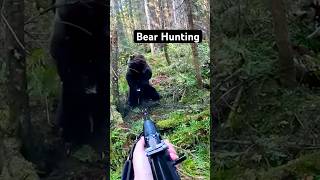 Bear Hunting Almost Gone Wrong #bear #hunting #bearhunting