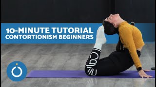 CONTORTIONISM for BEGINNERS 🍬 A Beginner&#39;s Guide to Contortionism