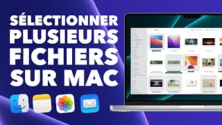 Comment sélectionner plusieurs fichiers sur Mac ? (photos, e-mails, notes, etc.) screenshot 4