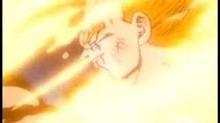 The Saiyan Phenomenon