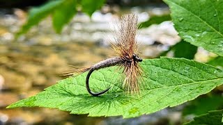 Hoe to tie EP Adams dry Fly. Fly tying tutorial.
