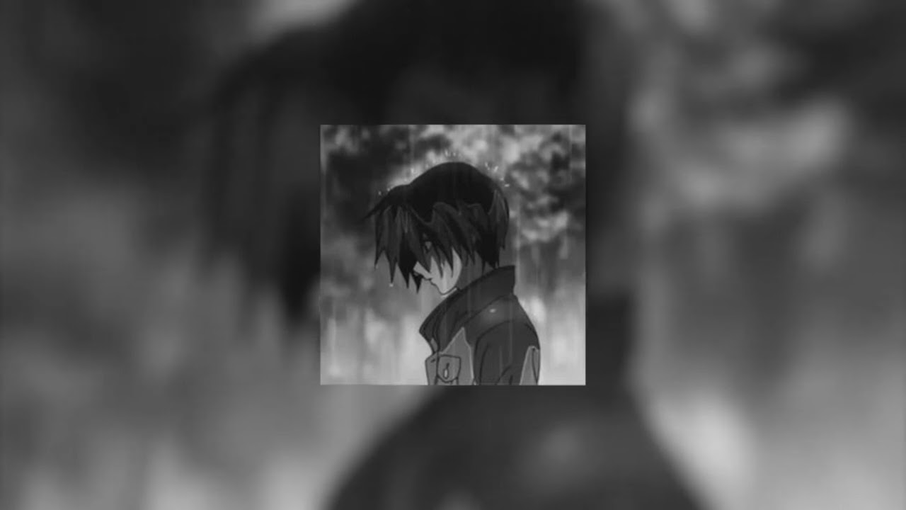 DZANUM (𝙨𝙡𝙤𝙬𝙚𝙙)
