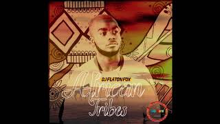 DJ Flaton Fox  -  African Tribe