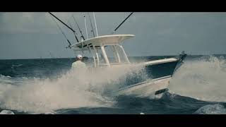 Boston Whaler Commercial