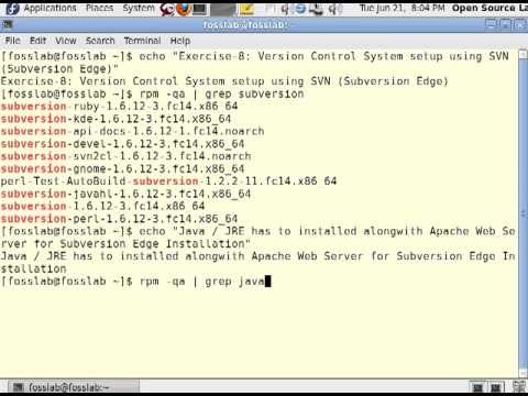 version control system using subversion edge 1