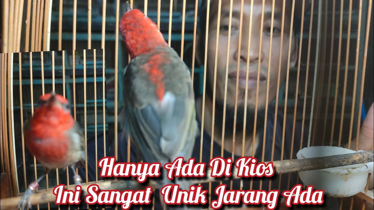 Hanya Ada Di Kios Ini Sangat Unik Jarang Ada 