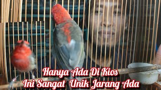 Only Available at This Kiosk Very Unique Rarely Available