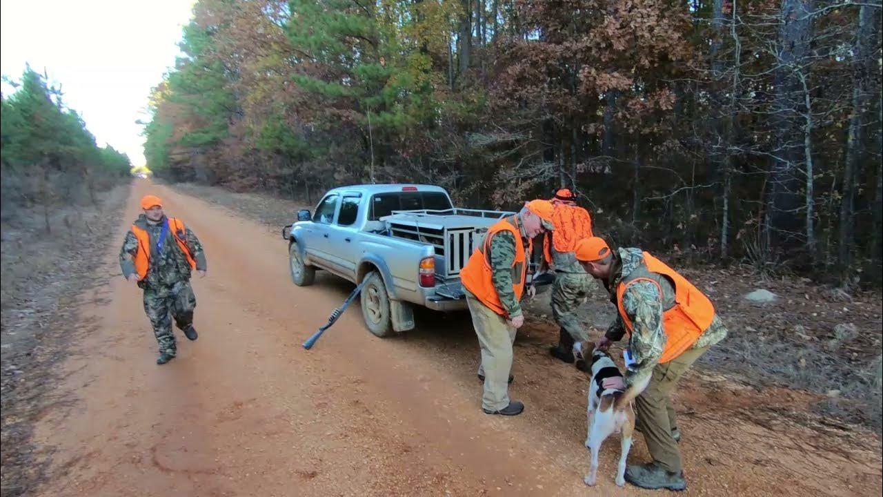 Arkansas Deer Hunting with Dogs 12 Hunts with Kill Shots! YouTube