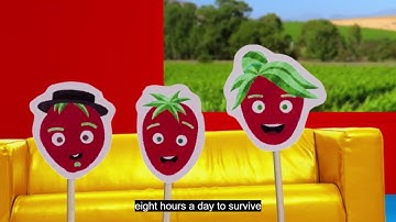 Module 8 Launch Video