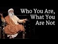 Who you are what you are not  sadhguru