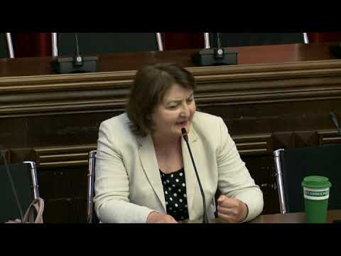 CNN-ს  კი არა ოქროს ლოდებს მოითხოვს ბოკერია, ტორტი ხომ არ უნდა სადღესასწაულო? - ადა მარშანია